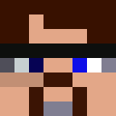 Player skin of Terrisdwdc