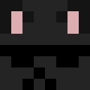 Player skin of xebby9