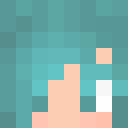 Player skin of CarneDeSolG