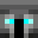 Player skin of cyberdog2711