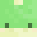 Player skin of EmTheTurtle03