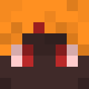 Player skin of APFL007