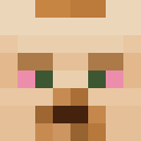 Player skin of A_Toasty_Pugg