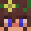 Player skin of AceCat99