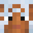 Player skin of Adam17502