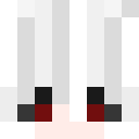 Player skin of Akuma_E