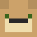 Player skin of Aleatoryy