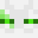 Player skin of Alololo5665