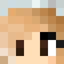Player skin of Ananas31113