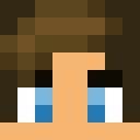 Player skin of Andrometry