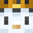 Player skin of Antsfaner