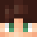 Player skin of AsticoTGP