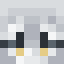 Player skin of Axotter