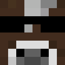Player skin of BOSS0606