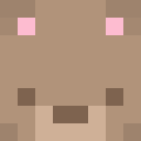 Player skin of Baby__Bear