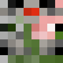 Player skin of BaconandSteel