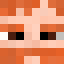 Player skin of Bagekaev