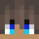 Player skin of Bagger980