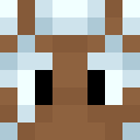 Player skin of Baguls_