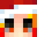 Player skin of Barrier_B