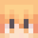 Player skin of BarryLird