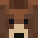 Player skin of BearOnFent