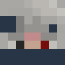 Player skin of Ben99ni