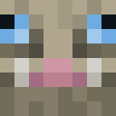 Player skin of BestBuffel69