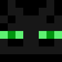Player skin of Bidulman
