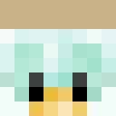 Player skin of Blockos