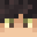 Player skin of BlueSkyMoose