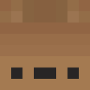 Player skin of BornByMistake