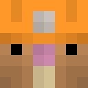 Player skin of Br0re