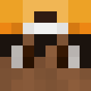 Player skin of Brady001