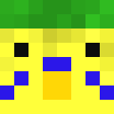 Player skin of Budgiebud