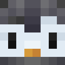 Player skin of Burkje