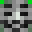 Player skin of Burtoss23