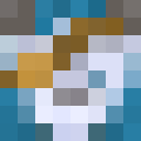 Player skin of Captain_Seyo