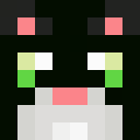Player skin of CarderCat