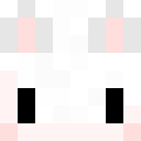 Player skin of CatusIsHere