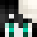 Player skin of Chocfox1331