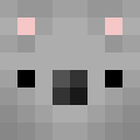 Player skin of CocoLoco06