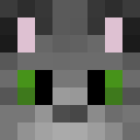 Player skin of CommanderCat