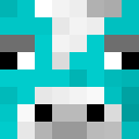 Player skin of Conway13