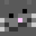 Player skin of Cozyrizaa