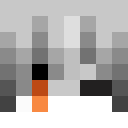 Player skin of D4RRKY