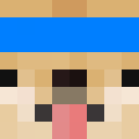 Player skin of DDADOG