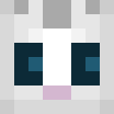 Player skin of DNAmaster10