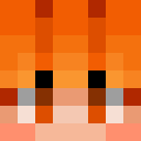 Player skin of DRonutJR