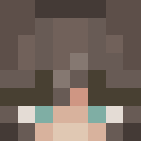 Player skin of Dashing_Playz